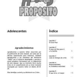 EBDV HECHOS CON PROPOSITO – NIVEL ADOLESCENTES